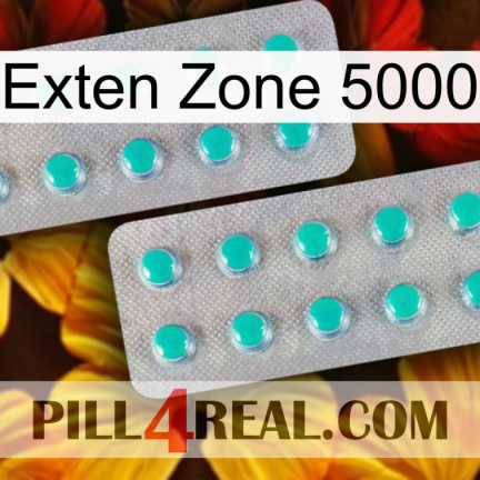 Exten Zone 5000 29